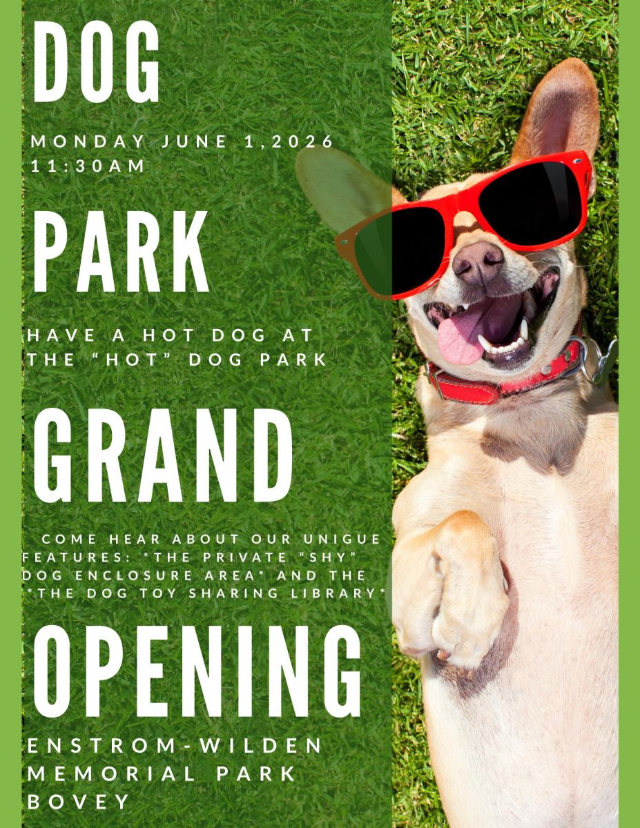 Dog Park
